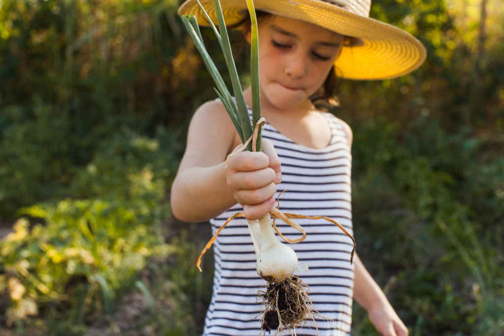 Aprendendo sobre Plantas e Hortas na Escola